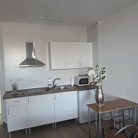 Apartment Biznaga House *